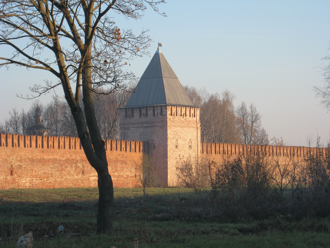 Башня Воронина)